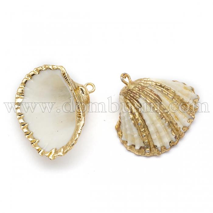 Кулон Морской Перламутр, Ракушка, Гальваническое Покрытие, Золото, 18-30x19-28x7-10мм, Ответстие 1.6мм, (УТ100024073)