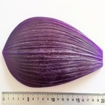 Молд Лист Орхидеи, для одного одностороннего листика, Размер: 20х8.6см, арт.3027, (УТ0028487)