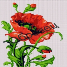 Бусины Синтетический Гематит, Немагнитный, на нитях, Круглые Плоские, Цвет: Серебро, Диаметр: 8мм, Толщина 2мм, Отв. 1мм, около 190шт/38см/нить, (УТ100011296)