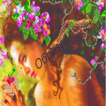 Схема Частичная для Вышивки А3, Бисером, "Ева", ТМ "Ришелье", Арт. Н-104, (УТ0005335)