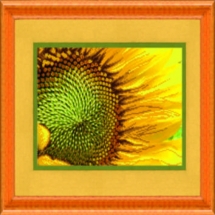 Бусины Натуральный Лабрадорит Круглые, Матовые, 6мм, Отверстие 1мм, около 30шт/18см/нить, (УТ100011644)