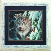 Бусины Натуральный Лабрадорит Круглые, 8мм, Отверстие 1мм, около 22шт/18см/нить, (УТ100011649)