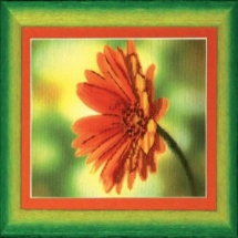 Бусины Натуральный Амазонит, На нитях, Граненые, Круглые, Цвет: Микс, Диаметр: 4мм, Отв. 1мм, около 96шт/38см/нить, (УТ100011702)