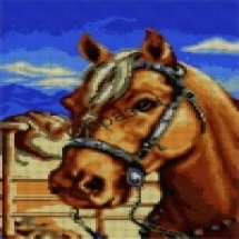 Бусины Натуральный Тигровый Глаз, Морозный Стиль, На нитях, Круглые, Цвет: Коричневый, Диаметр: 8мм, Отв. 1мм, около 47шт/38-39см/нить, (УТ100011722)