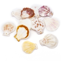 Бусины Натуральные Ракушки Морского Гребешка, Микс, 32~45x29~42x6~7мм, Отверстие 2мм, около 12шт/50г, (УТ100014009)