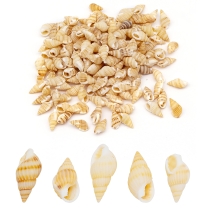 Морські Мушлі, без Отвору, Перу, 10-14x5-7x5-7мм, близько 165шт/50г, (УТ100014034)