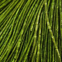 Канітель Трунцал 4 грані, Колір: Світло-зелений, Відрізки не менше 15см, Діаметр 1мм, близько 490см / 10г, (УТ100018426)