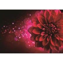 Алмазна Мозаїка за номерами "Георгіна", Об'ємна, Основа на Рамі, Стрази, Розмір: 20х30см, (УТ100021697)