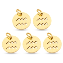 Подвеска Кулон Круглая Нержавеющая Сталь, Знак Зодиака Водолей, Золото, 12х1мм, Отверстие 3мм, (УТ100023762)