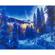 Алмазна мозаїка за номерами "Зимовий ліс" карт уп. (полотно на рамі), стрази. Розмір: 30*40 см (УТ100026018)