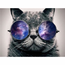 Картина за номерами "Кіт в окулярах", Полотно на Дерев'яному підрамнику, Акрилові Фарби, Пензлі, Розмір: 40х50см, (УТ100026377)