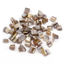 Намистини Річковий Перламутр Шматочки, Світлий Хакі, 5-10x8-12x9-10мм, Отвір 0.8-1мм, близько 52шт/50гр, (УТ100027776)