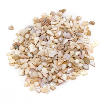 Речные Ракушки Крошка без Отверстия, Бежевые, 1-16х1-5х0.5-5мм, около 800шт/100гр, (УТ100027802)