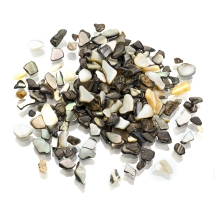 Натуральный Черный Перламутр, Крошка, без Отверстия, Цвет: Микс, Размер: 2.5-19.5х2.5-8мм, около 150шт/50г (УТ100027813)