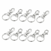 Застібка Шарнірна Поворотний Карабін з Кільцем для Ключів, Сплав та Залізо, Платина, Карабін 36х15х5мм, Кільце 25х2.5мм, (УТ100031103)